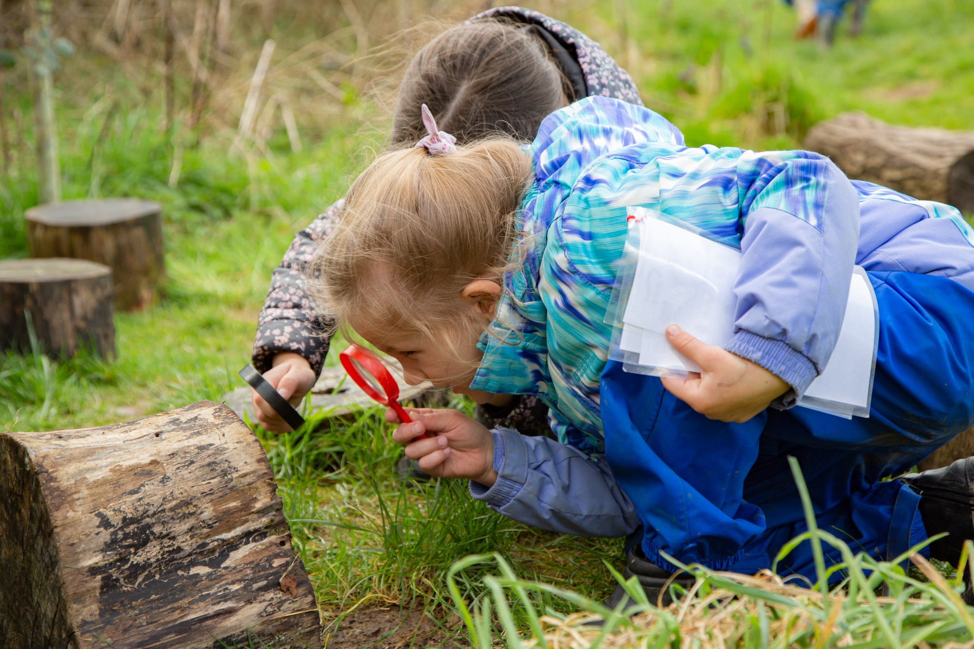 children at forest school